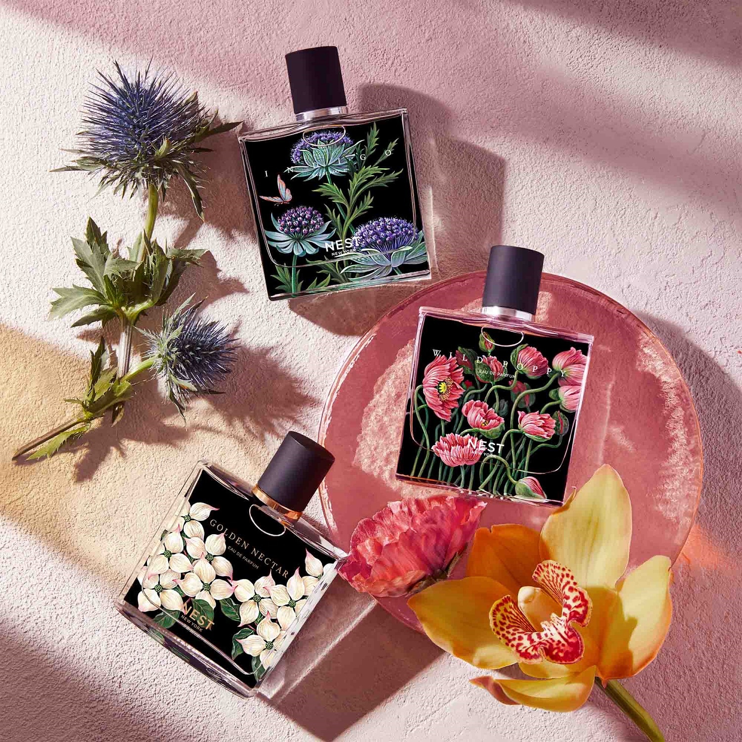 INDIGO Sephora MX